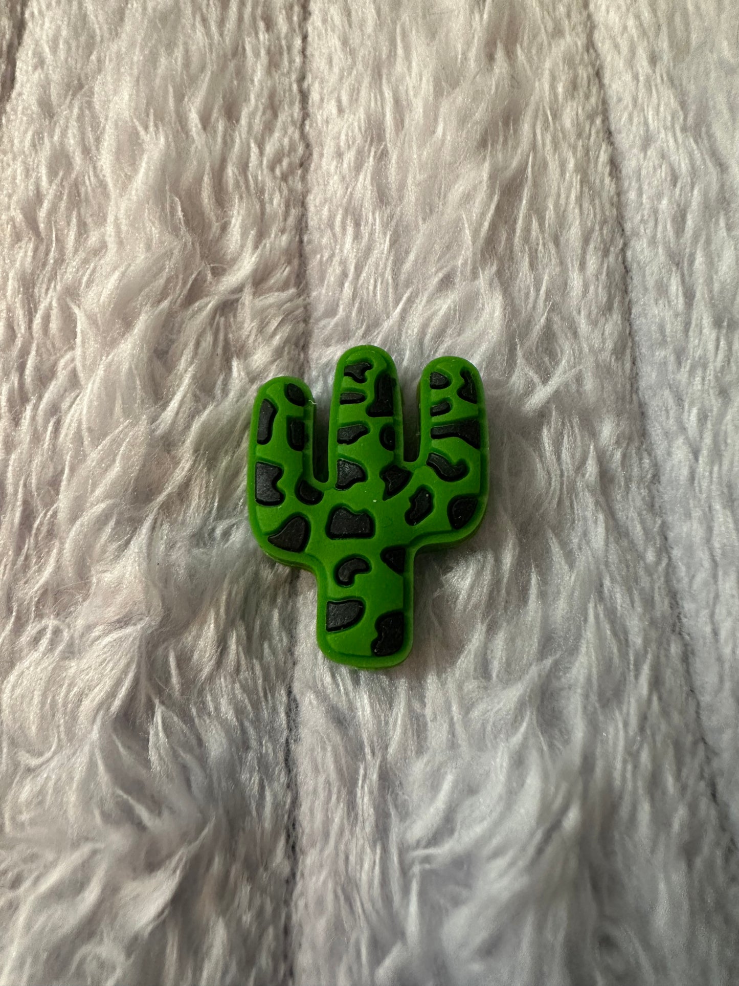 Cactus 1