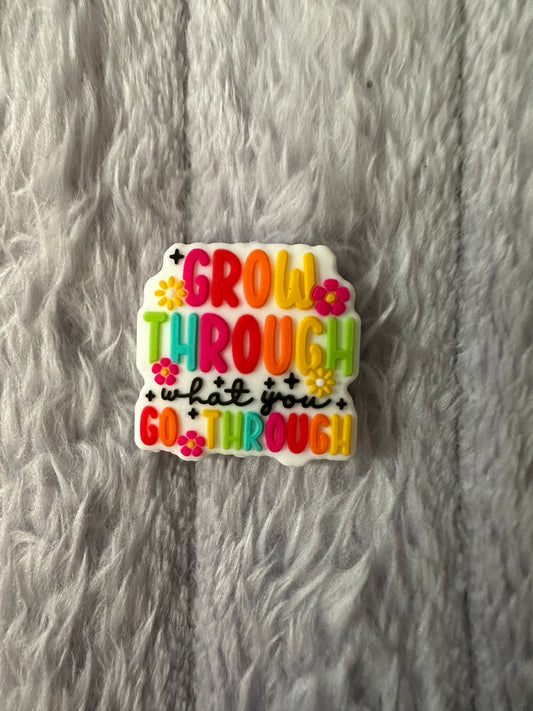 Grow through what you go through