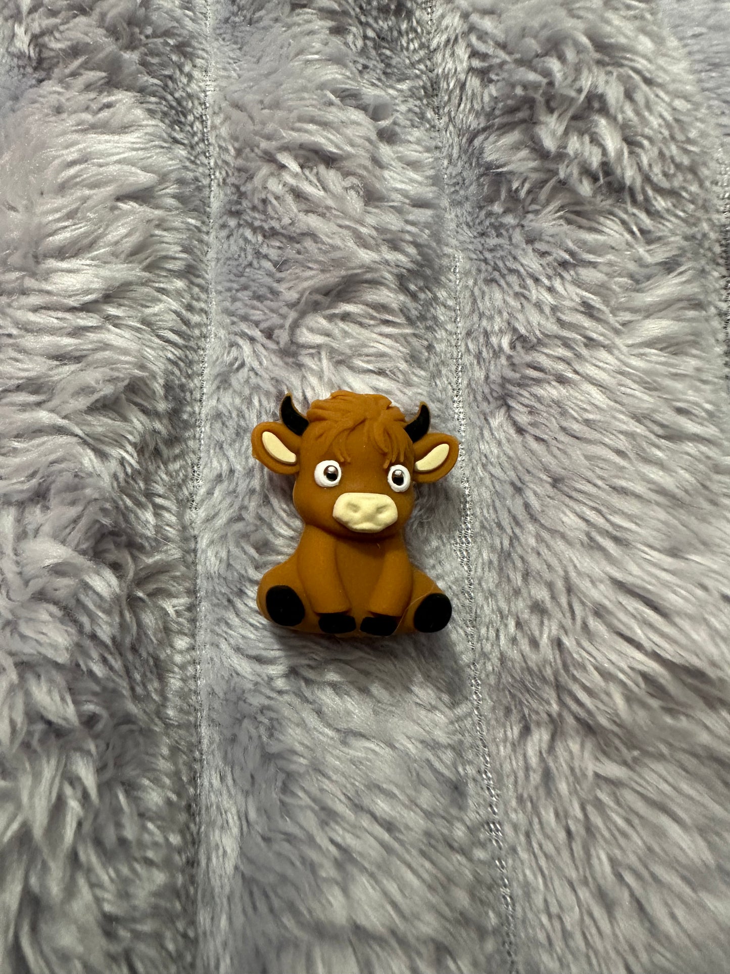 Highland Cow