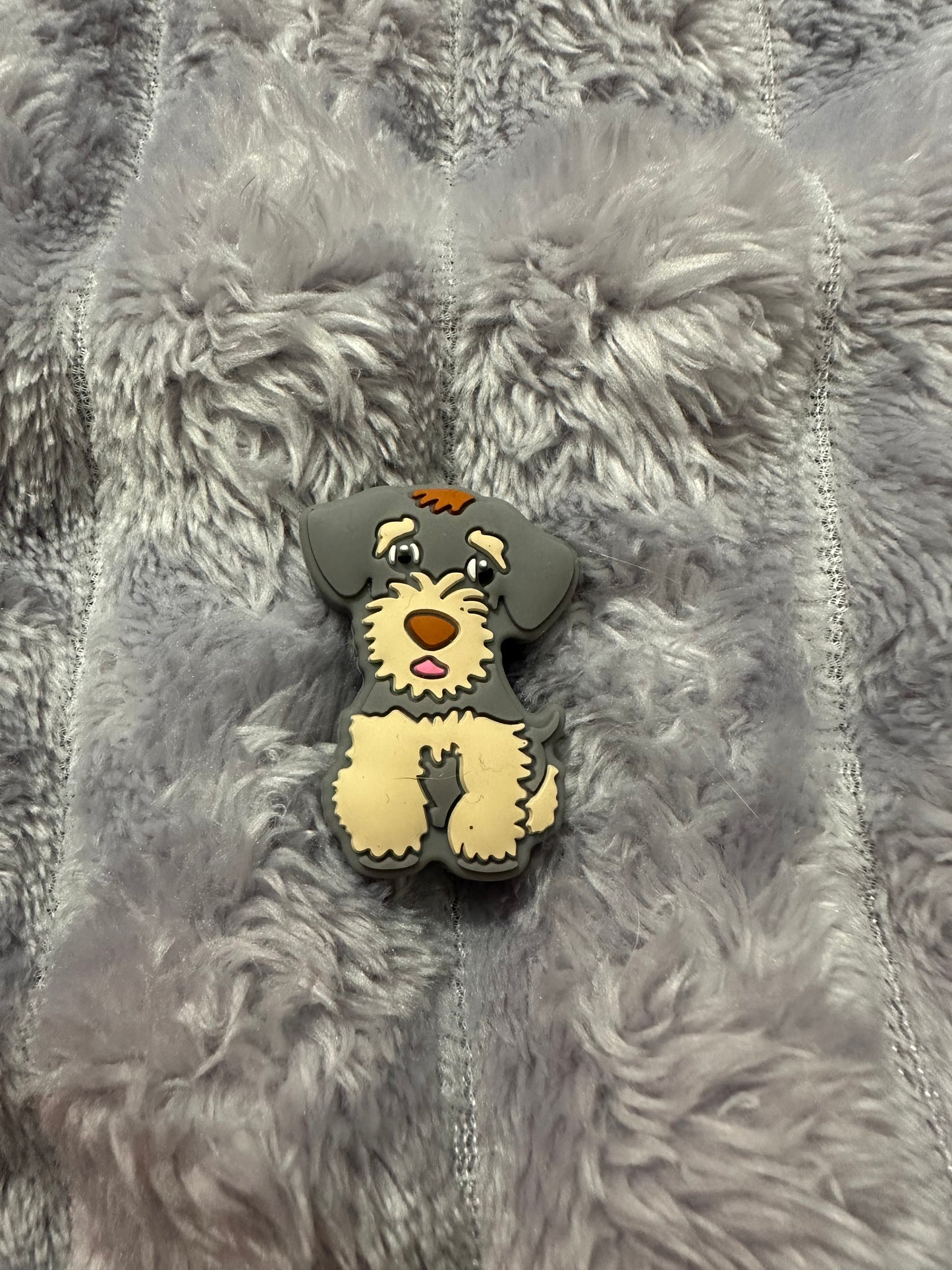 Schnauzer/Terrier